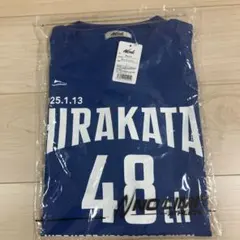 Item thumbnail for item 8a1288bd-72a1-4a3f-ab03-dd7084a5cc0f