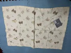 Item thumbnail for item 8a39b454-fb82-4f1f-85ad-bb24452b0d5b