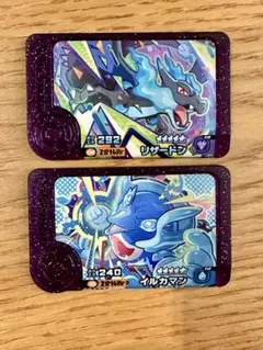 フレンダ　リザードン　イルカマン