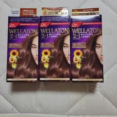 WELLATON 2+1 8G ウォームブラウン 3箱セットのサムネイル