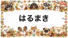 専用