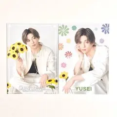 FANTASTICS 八木勇征 フォトカ （SUNFLOWER）③