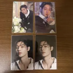 ソンフン トレカ まとめ売り DARK BLOOD