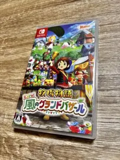 Switch 牧場物語 Let's!風のグランドバザール　グラバザ