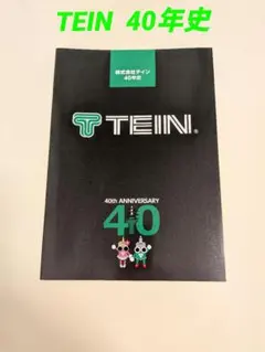 TEINの40年史ですのサムネイル