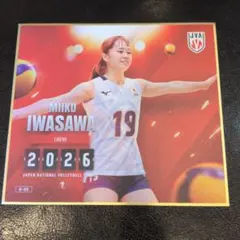 バレーボール女子日本代表 石川真佑 トレーディングmini色紙 - メルカリ