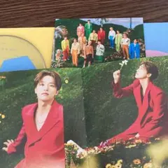 SEVENTEEN SECTOR17 リパケ ディノ