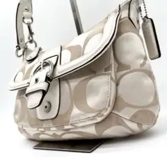 【美品】COACH ショルダーバッグ 2way シグネチャー　Ｆ25289