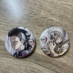 鬼滅の刃 幕間画ランダム缶バッジ 肆 不死川実弥 不死川玄弥 2点セット