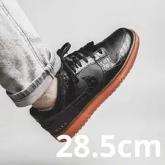 NIKE DUNK LOW SE 
