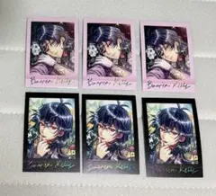 バスティン　ぱしゃこれ　ホロ　レア　premium vol.2 あくねこ