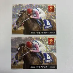 トウカイテイオー 2枚　有馬記念　ステッカー　インスタ限定　JRA 中山競馬場