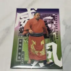 BBM 2019 大相撲カード 勢翔太 - メルカリ