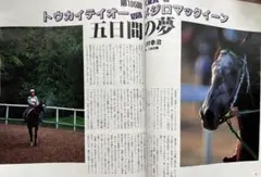 値下げ中】京都競馬場 淀競馬場 記念 80年史 日本中央競馬会 冊子