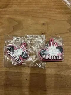 miniteen ぷっくりめじるしアクセサリー　ガチャガチャ　エスクプス　2個