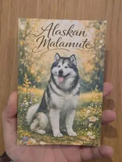 Item thumbnail for item e69e28e5-c334-4d9c-bcf2-bd29ca7ff48d