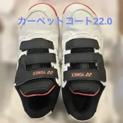 【テニス】カーペットコート用YONEX