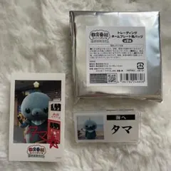 教育映画祭 教育番組 タマ VIP お渡し会 缶バッジ - メルカリ