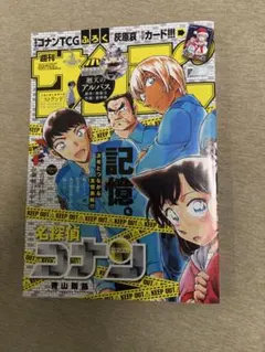 週刊少年サンデー 1995年 52号 名探偵コナン表紙 巻頭カラー - メルカリ