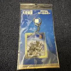 奇運アレキサンドライト キーホルダー - メルカリ
