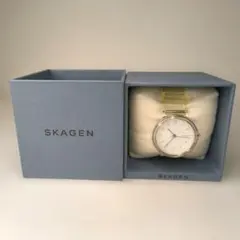 【箱付き】SKAGEN スカーゲン 腕時計 クリア ホワイト クォーツ メンズのサムネイル