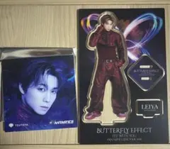 瀬口黎弥　アクリルスタンド　コースター