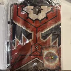 EXILE THE REASONアプグレセット　新品未使用　半被ほか