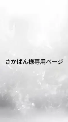 ぴなっつ様専用ページ