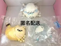 キラキラ先生 jammyjem squishy スクイーズ アザラシ 3種セット - メルカリ