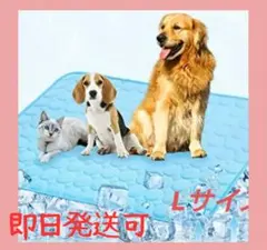 【未使用】 ペット 冷却 マット シート ひんやり 夏 犬 猫 クール 新品のサムネイル