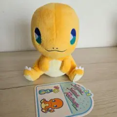 ポケモンセンター ポケモンキャンバス ヒトカゲ ぬいぐるみ - メルカリ