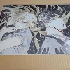 FGO Fate 奏章 カドック ポストカード イラストカード ブロマイド