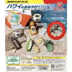 【新品未開封】地球の歩き方 ハワイのおみやげ アイランド・スリッパー