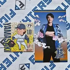 北海道日本ハムファイターズ 限定ステッカーセット【山﨑福也】のサムネイル