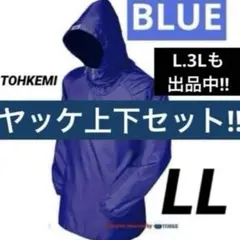 Item thumbnail for item 481fa89b-ae26-4d0c-bbca-4a97b6be9bdb