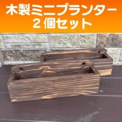 木製ミニプランター　ウォルナット 2個セット　多肉　セダム　リトープス　06