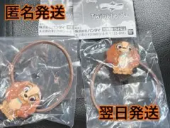 ディズニー Twinkle ゴム 【レディ2個セット】