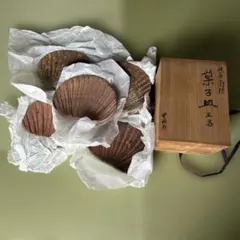 菓子皿　5枚　　茶道　和菓子皿　焼物