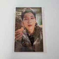 SEVENTEEN ウォヌ トレカ always yours ユニバ ラキドロ