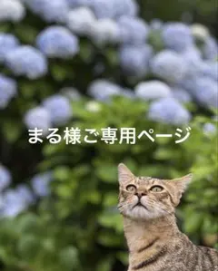 ✴️まる様ご専用ページ✴️