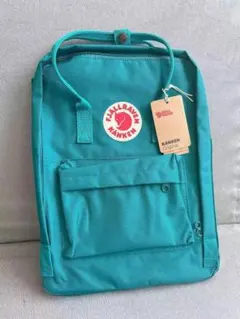 Item thumbnail for item 294abbae-156d-482c-b540-940e6cef598c