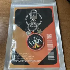 VEGA INTERNATIONALSPACEFACILITIES キーホルダー