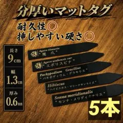 マットタグ　絶妙な硬さ　高級感　3本　オーダーメイド　園芸ラベル　チタノタのサムネイル