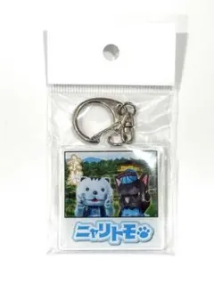 はんニャリン　京都ハンナリーズ　バルたん　佐賀バルーナーズ　ニャリトモ　アクキー