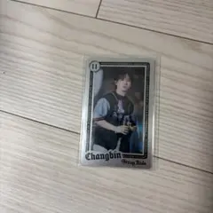 straykids スキズ チャンビン ライブフォトカード dominate