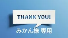 みかん様 リクエスト 2点 まとめ商品
