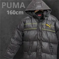 【セール中】PUMA グレー ダウンベンチコート フード付き　コスパ最高
