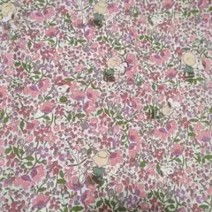 ann-andy-michiyo115様 リクエスト 2点 まとめ商品