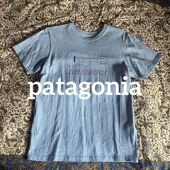 美品☆パタゴニア メンズS ★オーガニックコットンT ☆丸胴
