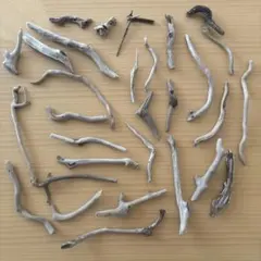 Item thumbnail for item e6df81c0-cf15-43e0-94b5-a81dea2e37e7